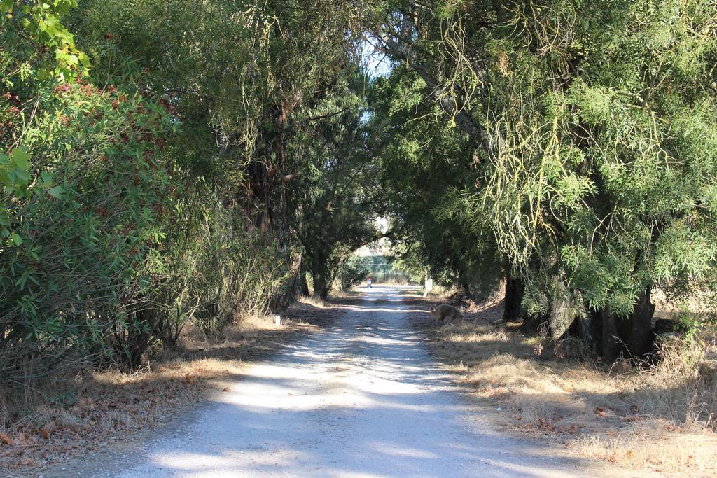 Quinta Do Valleトマール エクステリア 写真