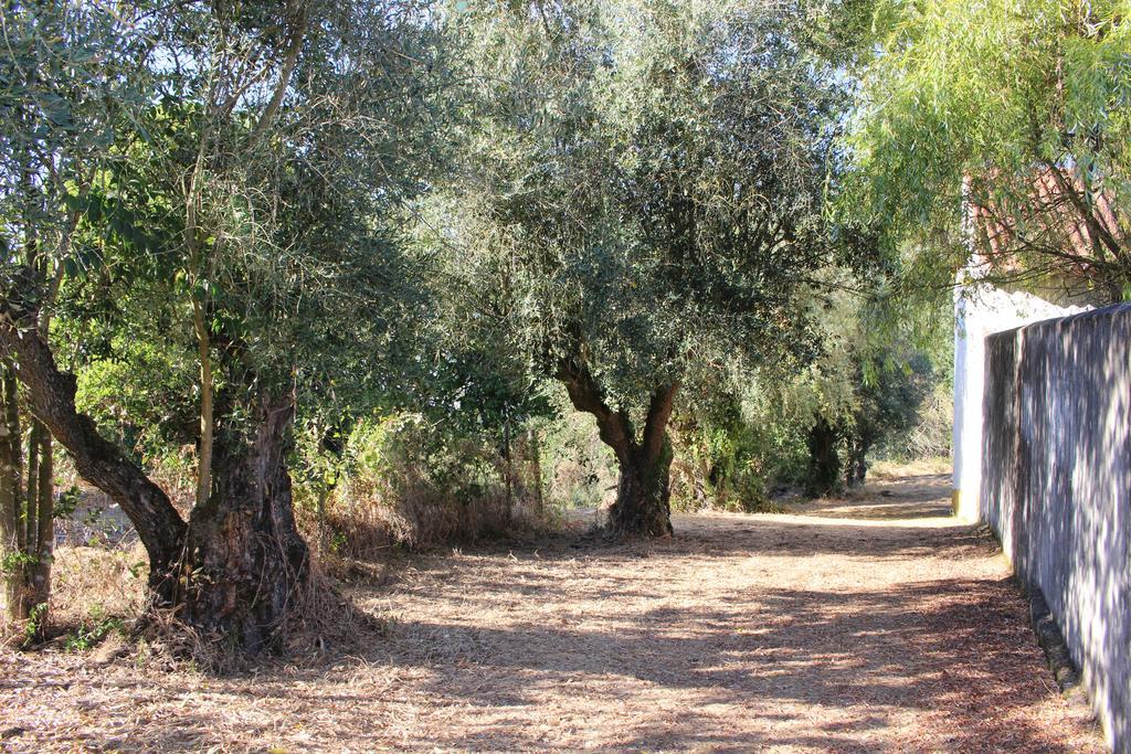 Quinta Do Valleトマール エクステリア 写真