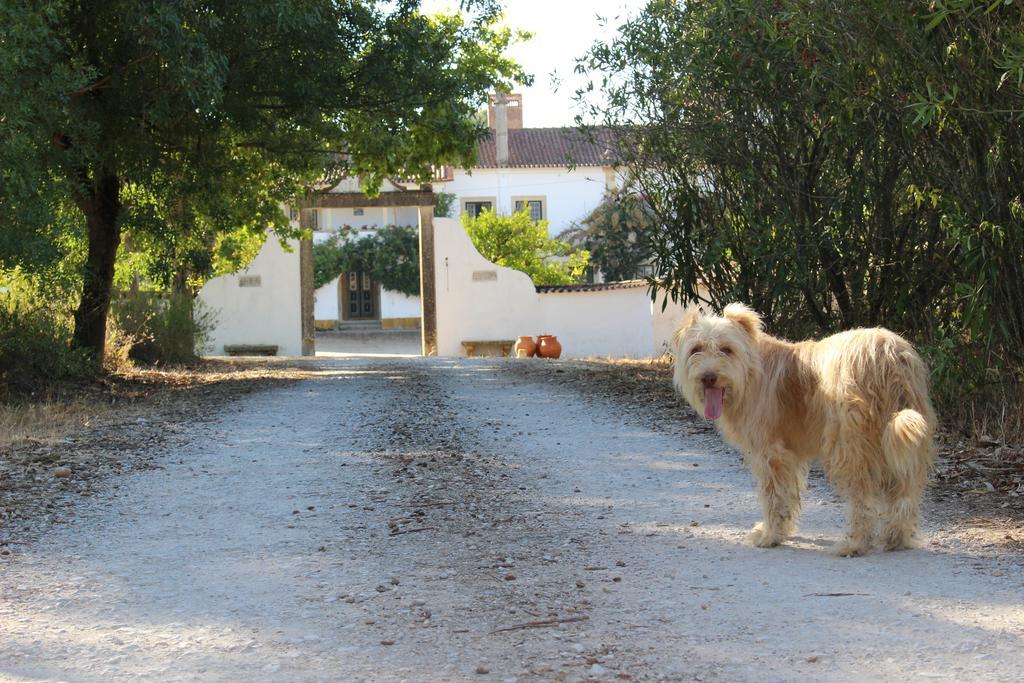 Quinta Do Valleトマール エクステリア 写真